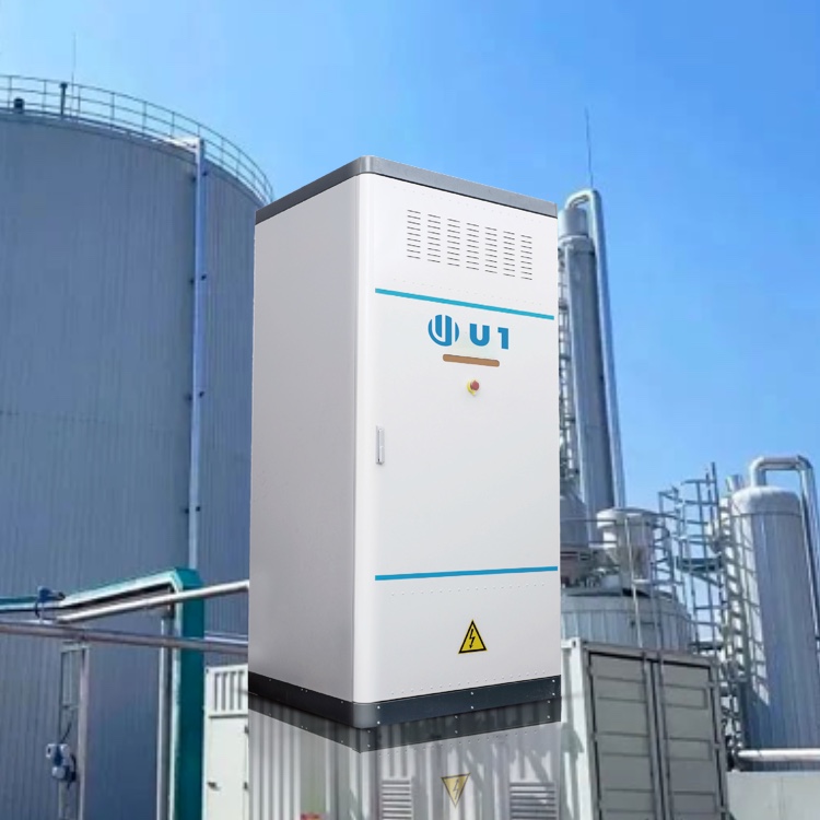 Biogas power plant of U1AC-01-200